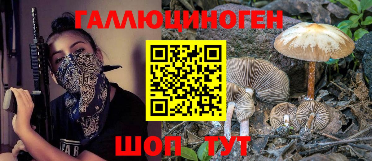 Галлюциногенные грибы GOLDEN TEACHER  Вход с VPN  Кандалакша 
